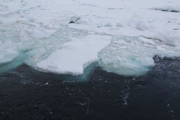 Icebreaker Rossiya in the Chukchi Sea - Sputnik International