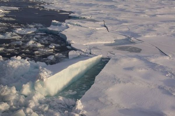 Russian polar explorers descend on drifting ice floe - Sputnik International
