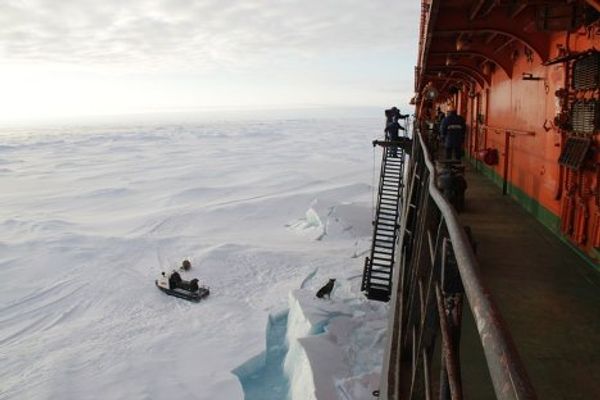 Russian polar explorers descend on drifting ice floe - Sputnik International
