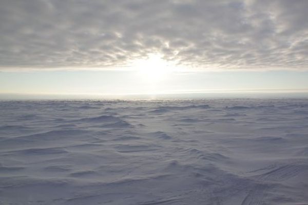 Russian polar explorers descend on drifting ice floe - Sputnik International