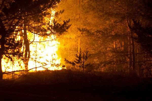 Global natural disasters may double in next decade - WWF - Sputnik International