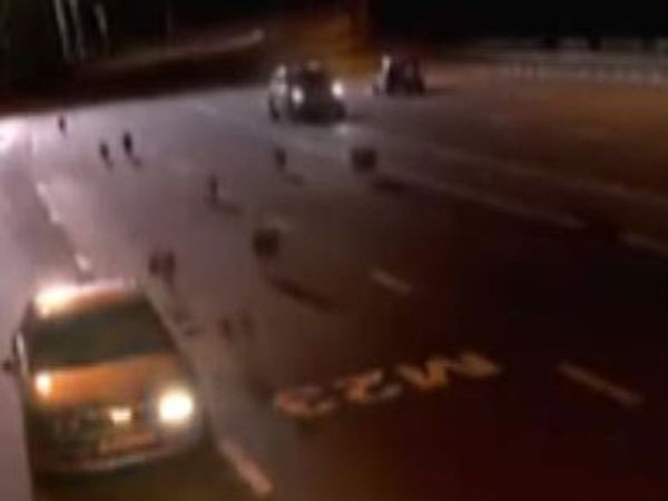 Hungry wolves causes panic on Russian motorway   - Sputnik International