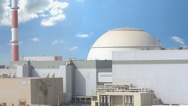 Iran started the Bushehr project in 1976 - Sputnik International