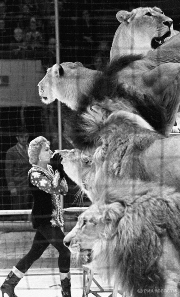 Moscow Circus on Tsvetnoi Boulevard: a show lasting for over a century Moscow Circus on Tsvetnoi Boulevard: a show lasting for over a century - Sputnik International