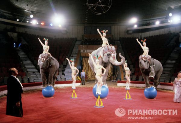 Moscow Circus on Tsvetnoi Boulevard: a show lasting for over a century Moscow Circus on Tsvetnoi Boulevard: a show lasting for over a century - Sputnik International