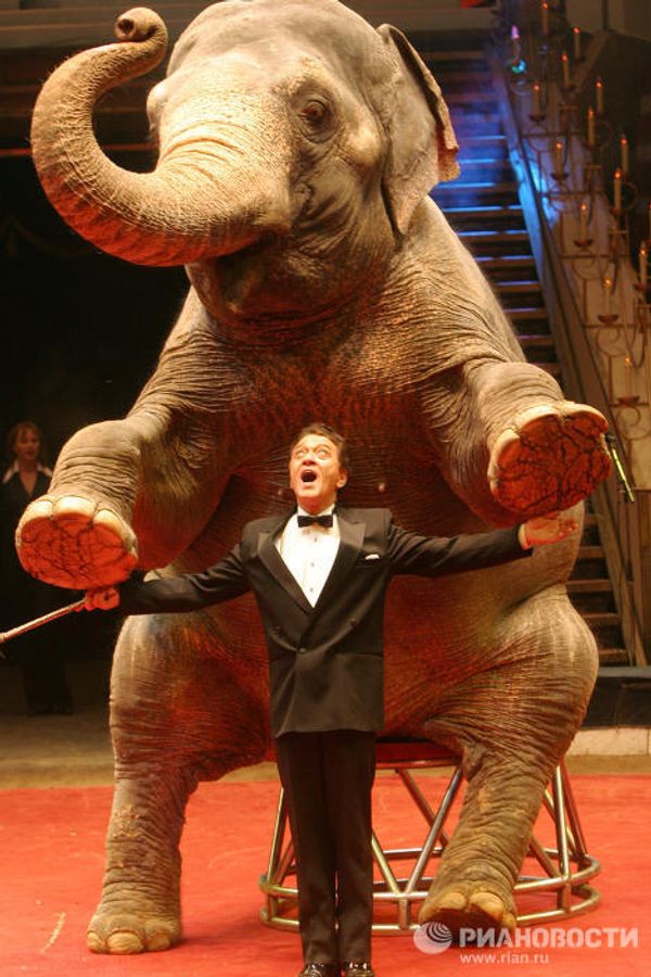 Moscow Circus on Tsvetnoi Boulevard: a show lasting for over a century Moscow Circus on Tsvetnoi Boulevard: a show lasting for over a century - Sputnik International