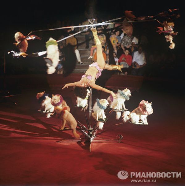 Moscow Circus on Tsvetnoi Boulevard: a show lasting for over a century Moscow Circus on Tsvetnoi Boulevard: a show lasting for over a century - Sputnik International