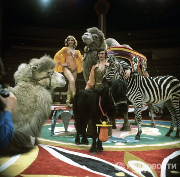 Moscow Circus on Tsvetnoi Boulevard: a show lasting for over a century Moscow Circus on Tsvetnoi Boulevard: a show lasting for over a century - Sputnik International