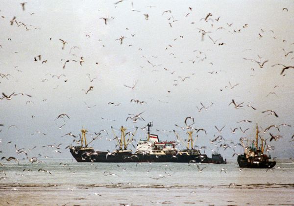 China demanded on Friday that Vietnam stop all business activities on the contested Spratly archipelago in the South China Sea and allow Chinese fishermen to work there. China demanded on Friday that Vietnam stop all business activities on the contested Spratly archipelago in the South China Sea and allow Chinese fishermen to work there. - Sputnik International