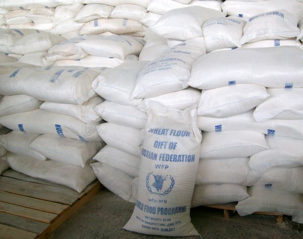 Russia Delivers $1.3M of Humanitarian Aid to Syria - Sputnik International