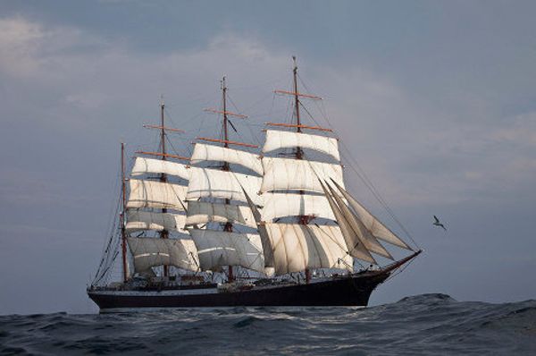 The northern voyage of the Sedov - Sputnik International