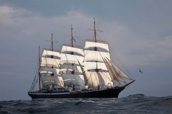 Barque Sedov underway - Sputnik International