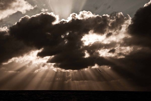 Sedov barque weathers North Sea storm - Sputnik International