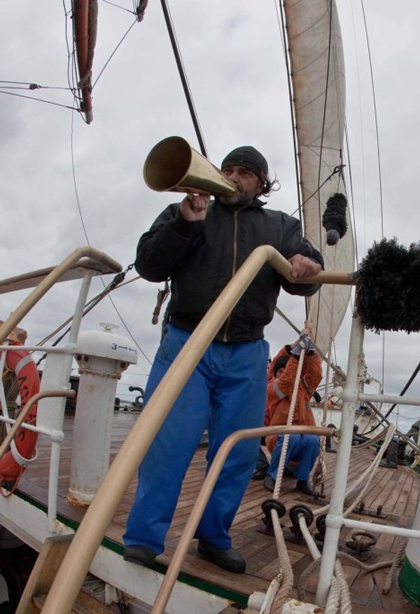 Sedov barque weathers North Sea storm - Sputnik International