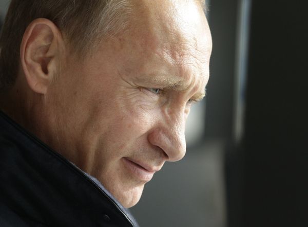 Russian Prime Minister Vladimir Putin Russian Prime Minister Vladimir Putin - Sputnik International