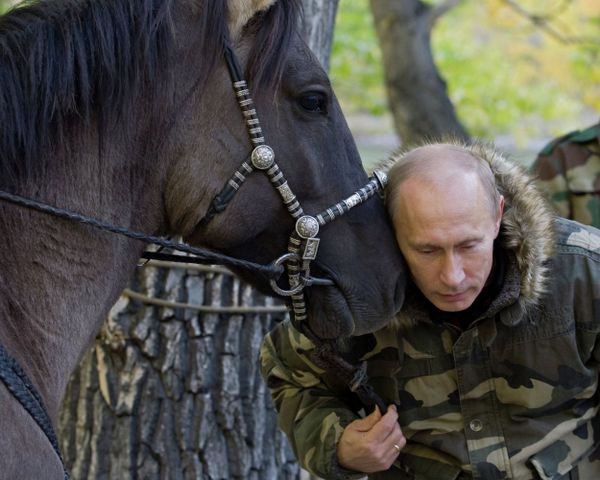 Vladimir Putin visits Ubsunur Hollow Biosphere Preserve - Sputnik International