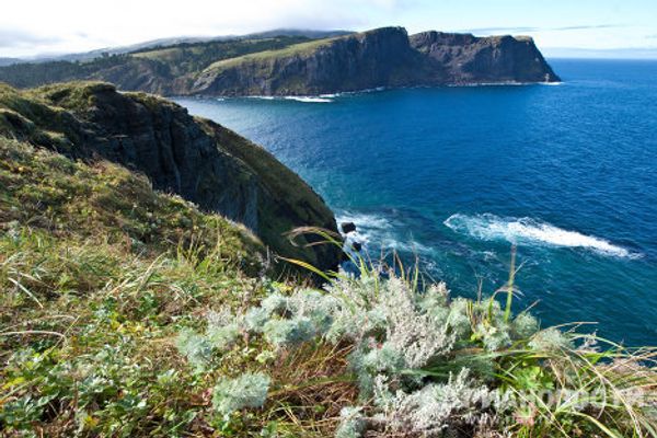 The Kuril Islands - Sputnik International