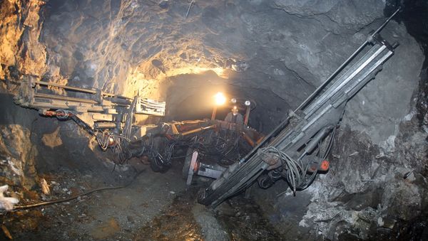 Worst things you could have done with your money is invest it in iron ore. - Sputnik International