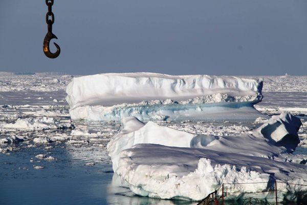 The Antarctic - Sputnik International