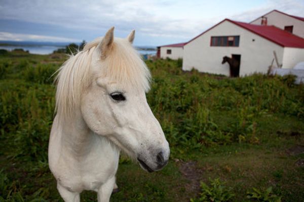 Severe northern beauty of enigmatic Iceland  - Sputnik International