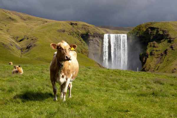 Severe northern beauty of enigmatic Iceland  - Sputnik International
