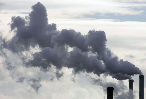 Moscow faces environmental disaster - experts - Sputnik International