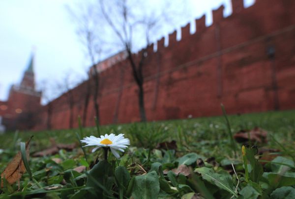 Moscow sets first temperature record in fall-2010 - Sputnik International