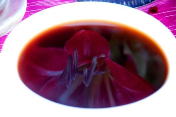 Coffee break  - Sputnik International