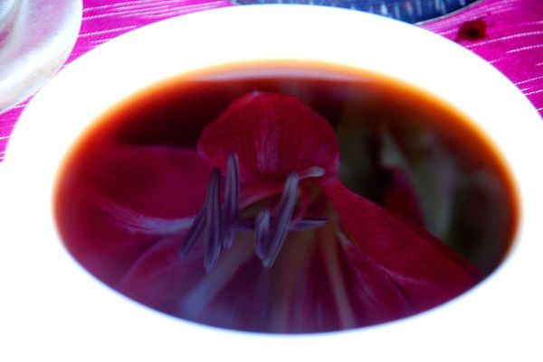Coffee break  - Sputnik International