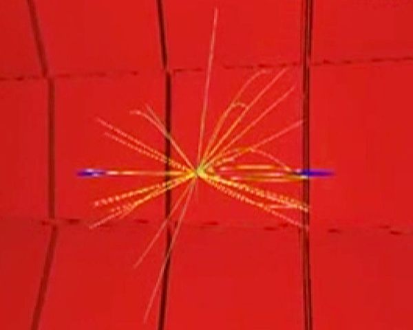 The Large Hadron Collider has produced its first pair of Z bosons - Sputnik International