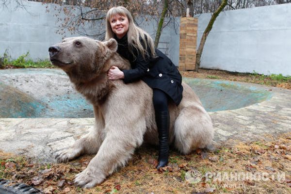 Stepan the superstar bear - Sputnik International