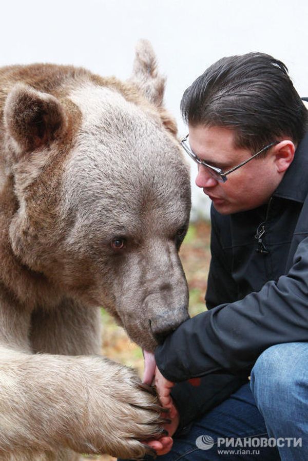 Stepan the superstar bear - Sputnik International