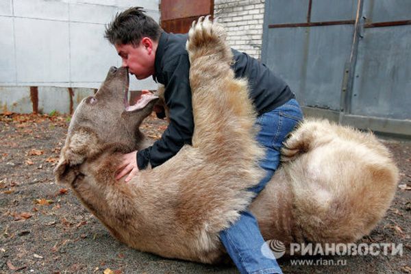 Stepan the superstar bear - Sputnik International
