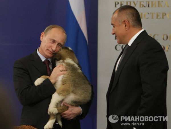 Vladimir Putin and his four-legged gifts Vladimir Putin and his four-legged gifts - Sputnik International