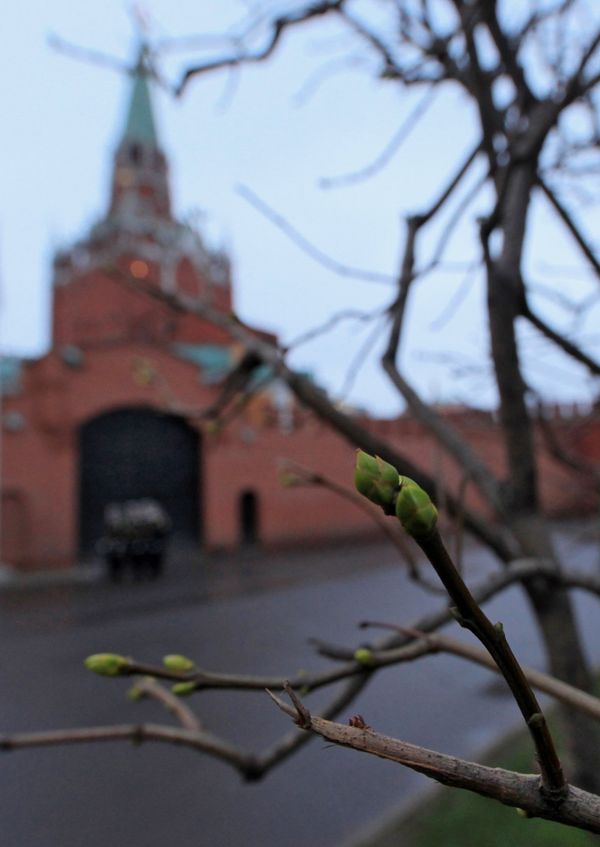 Moscow sees sixth temperature record in November - Sputnik International
