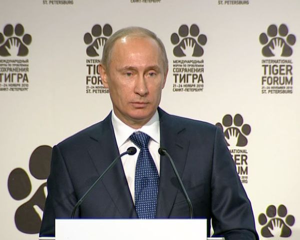 Putin calls tiger extinction a tragedy - Sputnik International