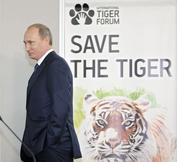 Russian Prime Minister Vladimir Putin  - Sputnik International