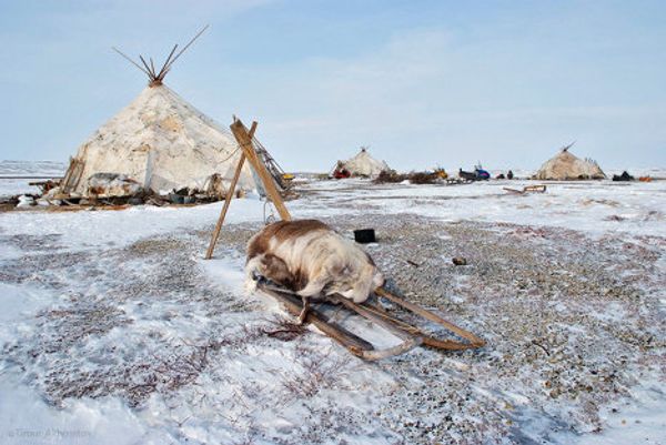 Chukotka, the place to see Russia’s first dawn - Sputnik International
