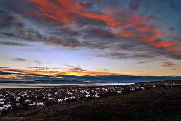 Chukotka, the place to see Russia’s first dawn - Sputnik International