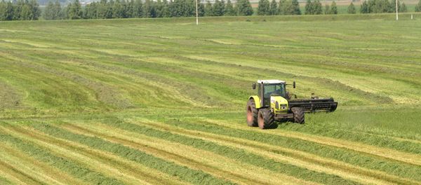 Dutch farmers have been unable to sell goods worth almost $750 million in total to Russia as a result of sanctions. - Sputnik International