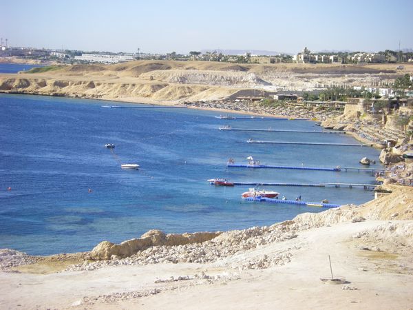 Sharks Bay, Sharm el Sheikh - Sputnik International