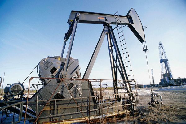 Oil extraction process - Sputnik International