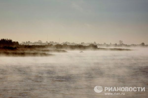 RIA Novosti Photo Gallery: Animals RIA Novosti Photo Gallery: Animals - Sputnik International