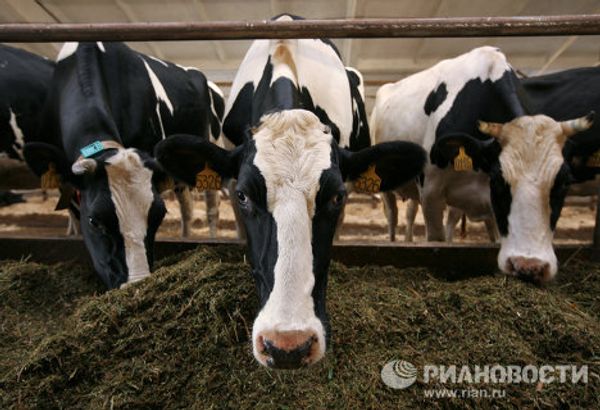 RIA Novosti Photo Gallery: Animals RIA Novosti Photo Gallery: Animals - Sputnik International