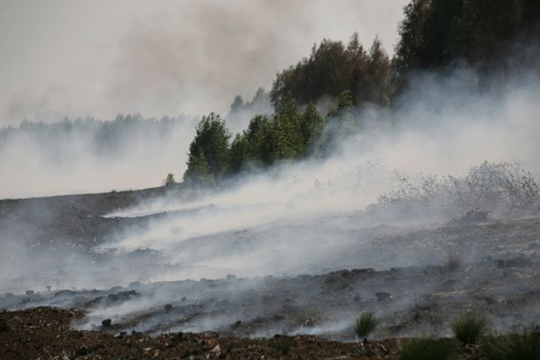 RIA Novosti photo chart of this year’s top environment-related events - Sputnik International