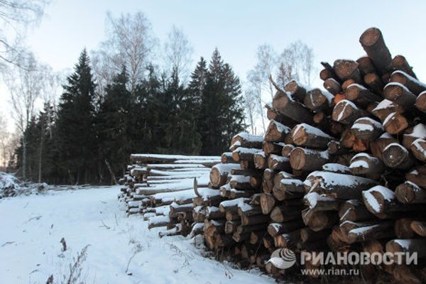 RIA Novosti photo chart on the top events of 2010  - Sputnik International