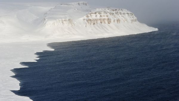 According to the deputy minister, Russia's military presence in the Arctic is not to harm the region's ecology. - Sputnik International