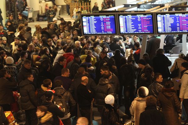 Russian Transport Ministry names responsible for December air traffic chaos Russian Transport Ministry names responsible for December air traffic chaos - Sputnik International