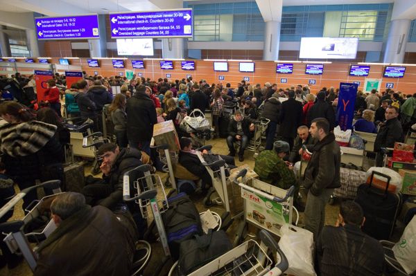 Russian airlines face legal proceedings over flight chaos Russian airlines face legal proceedings over flight chaos - Sputnik International