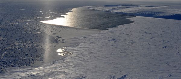 Arctic Arctic - Sputnik International